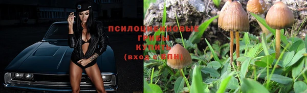 СК Абдулино