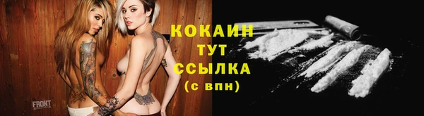 хмурый Абаза