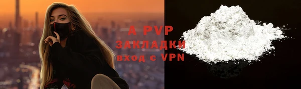 хмурый Абаза